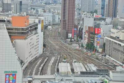 DSC_4038 (Large).JPG